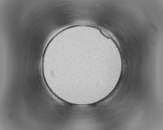 X0000111041343200908061449