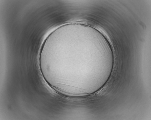 X0000111041344200908061449