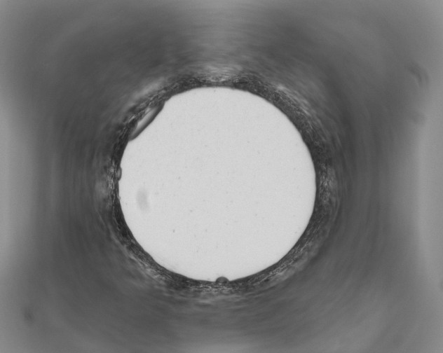 X0000111041349200908061448