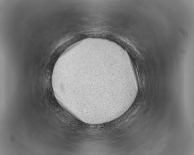 X0000111041350200908061448