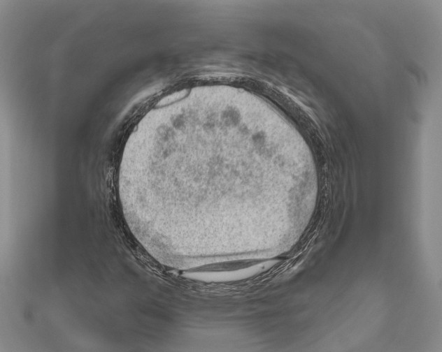 X0000111041351200908061448