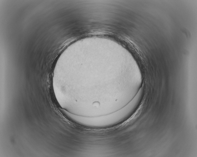 X0000111041353200908061448