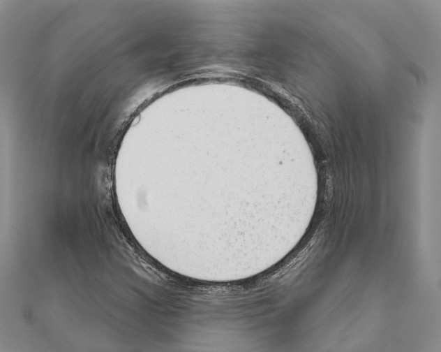 X0000111041355200908061448