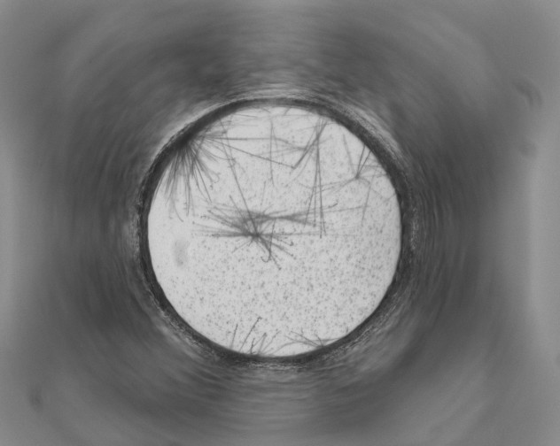 X0000111041356200908061448