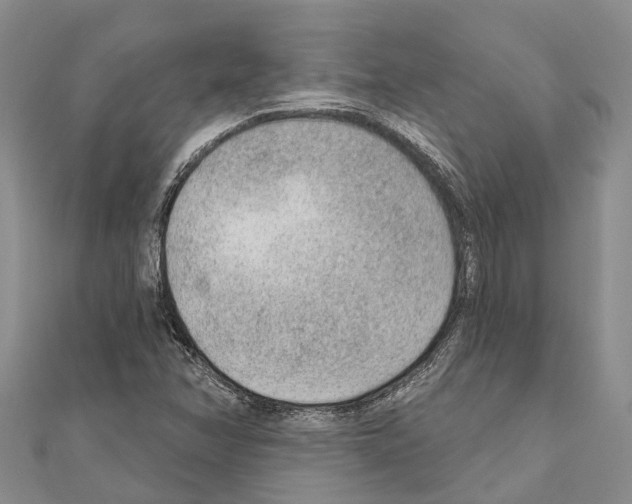 X0000111041358200908061448