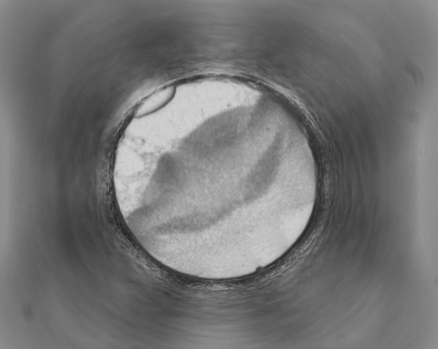 X0000111041359200908061448