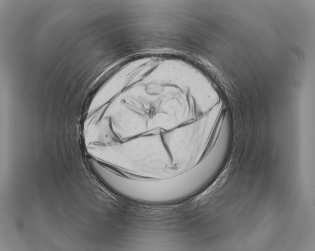 X0000111041361200908061448