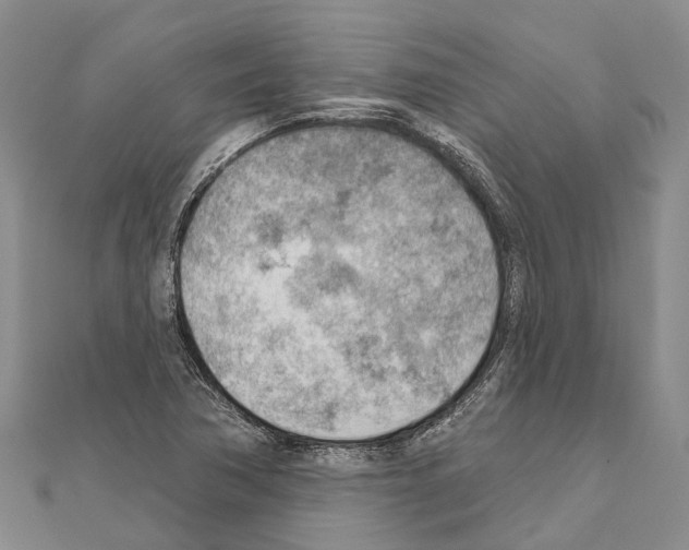 X0000111041362200908061448