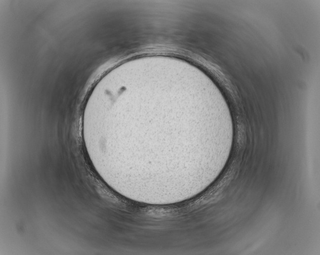 X0000111041366200908061448