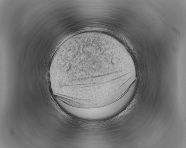 X0000111041369200908061448