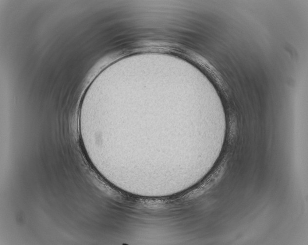 X0000111041370200908061448