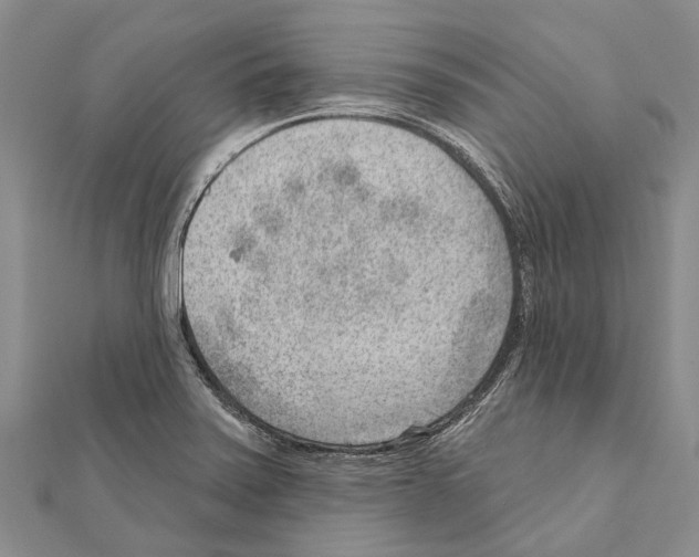 X0000111041371200908061448