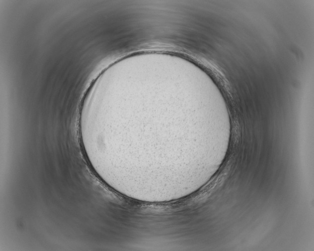 X0000111041374200908061448