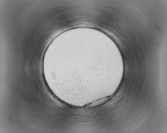 X0000111041375200908061448