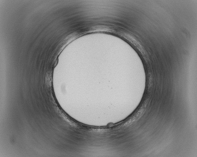 X0000111041377200908061448