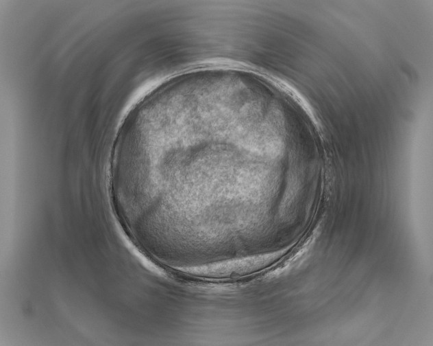 X0000111041381200908061448