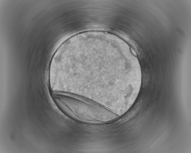 X0000111041383200908061448