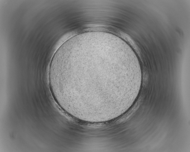 X0000111041386200908061448