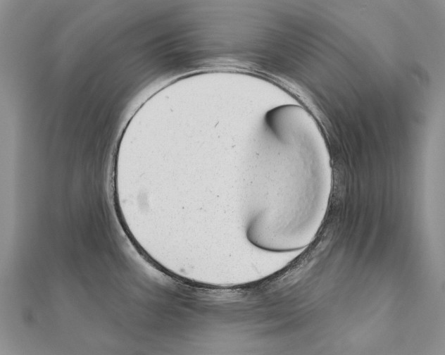 X0000111041387200908061448