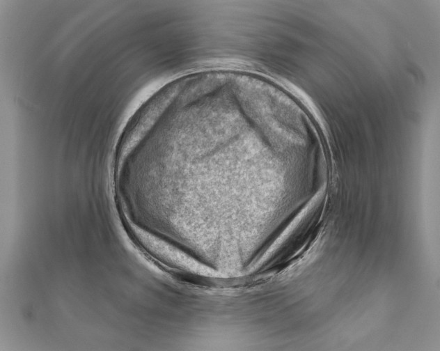 X0000111041389200908061448