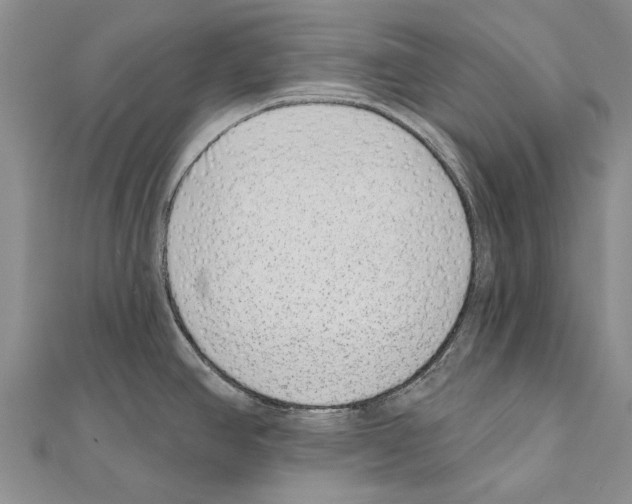 X0000111041390200908061448