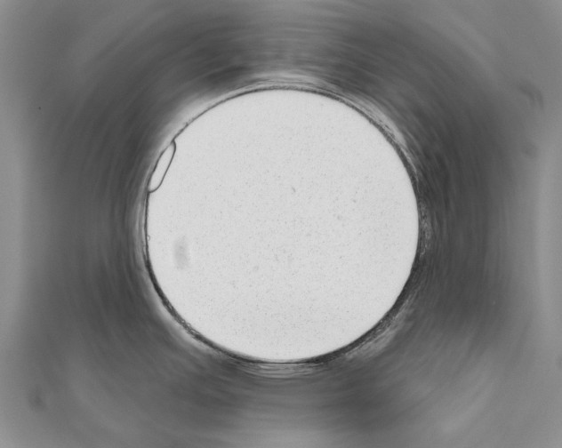 X0000111041391200908061448