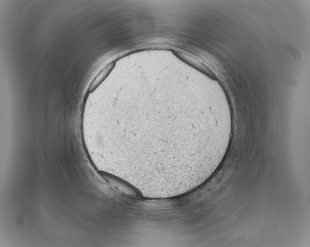 X0000111041392200908061448