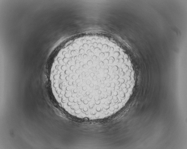 X0000111041400200908061447