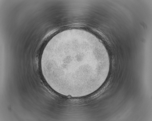 X0000111041402200908061447