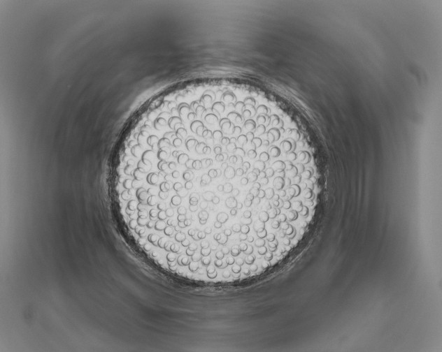 X0000111041404200908061447