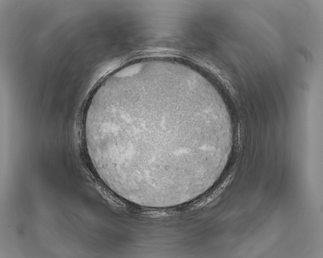 X0000111041405200908061447