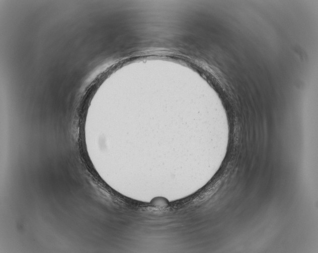 X0000111041406200908061447