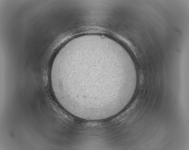 X0000111041407200908061447