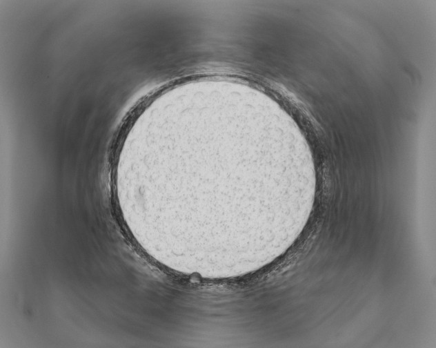 X0000111041408200908061447