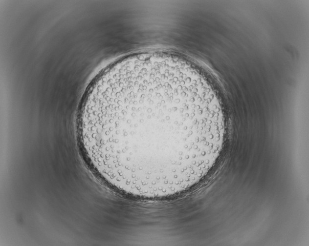 X0000111041412200908061447