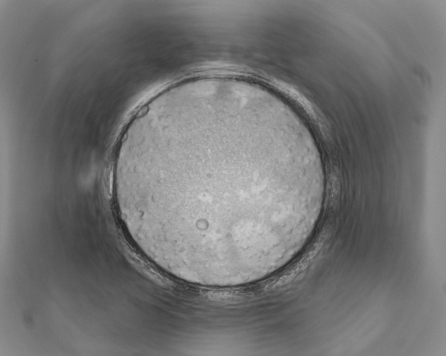 X0000111041413200908061447