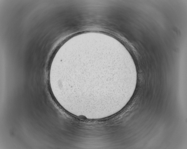 X0000111041416200908061447