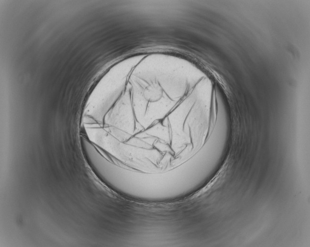 X0000111041417200908061447