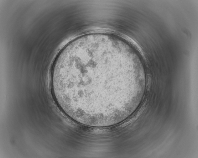 X0000111041419200908061447