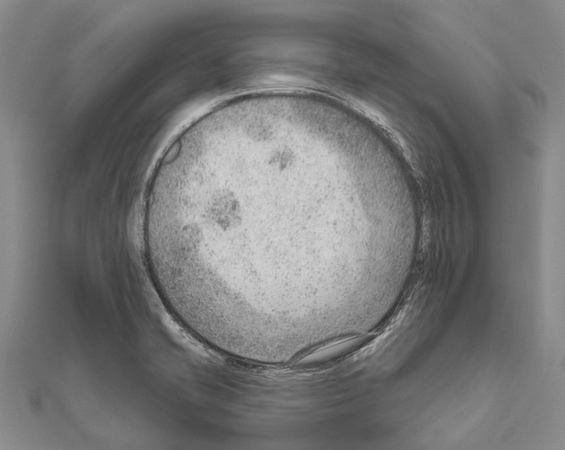 X0000111041421200908061447