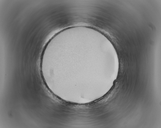 X0000111041422200908061447