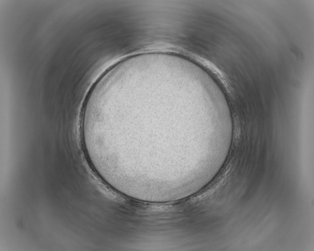 X0000111041423200908061447