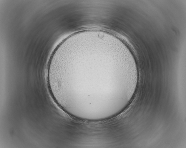 X0000111041424200908061447