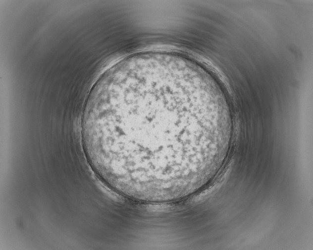 X0000111041425200908061447