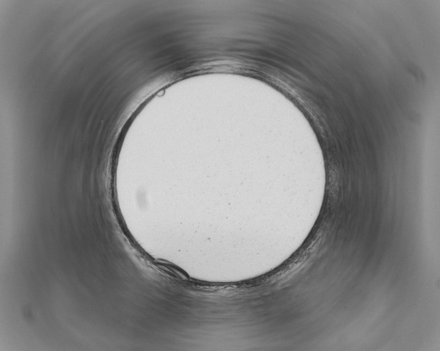 X0000111041426200908061447