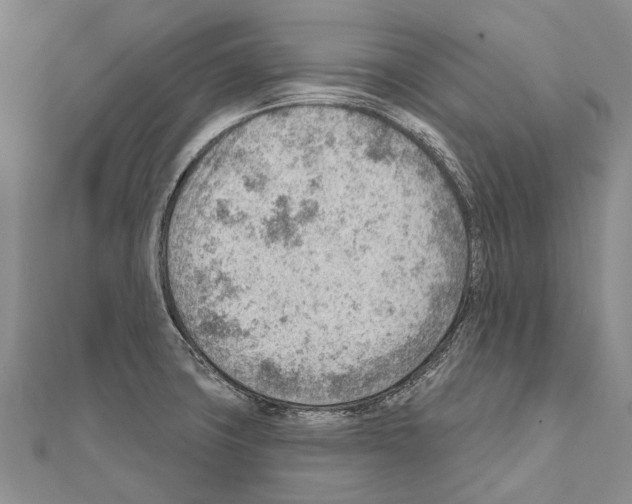 X0000111041427200908061447