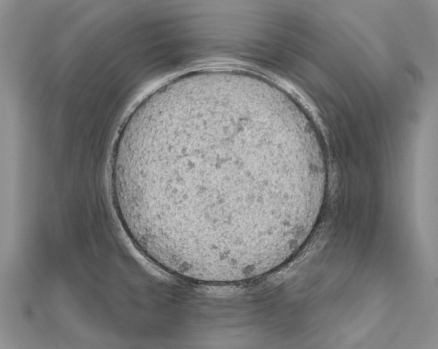 X0000111041429200908061448