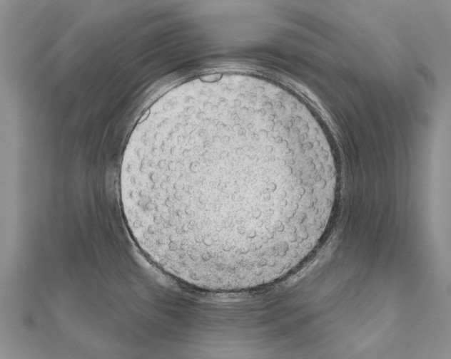 X0000111041433200908061448