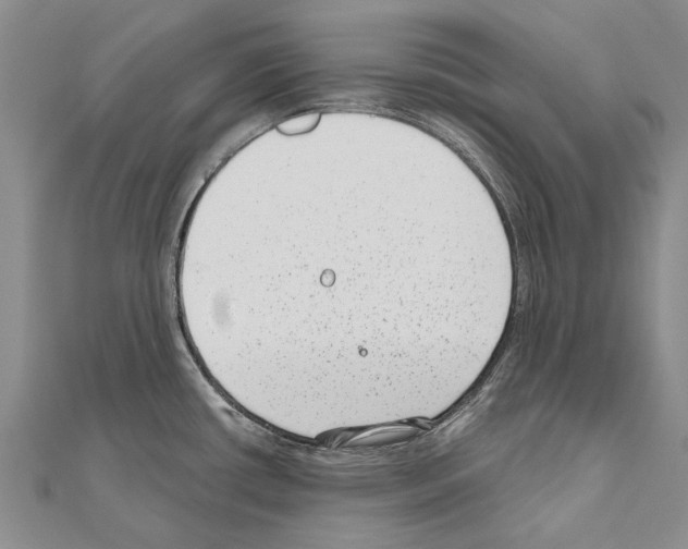 X0000111041434200908061448