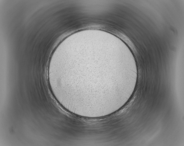 X0000111041436200908061448